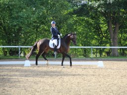 IMG_0157_web